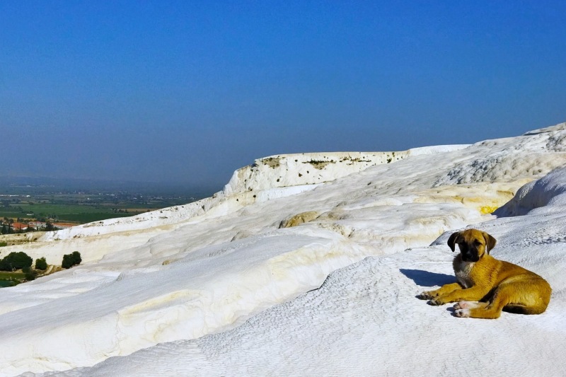 トルコパムッカレ