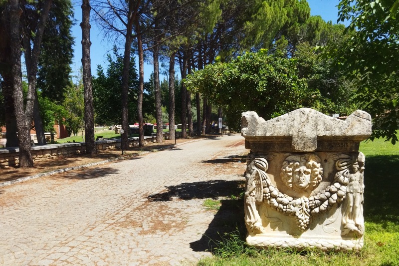 アフロディシアス