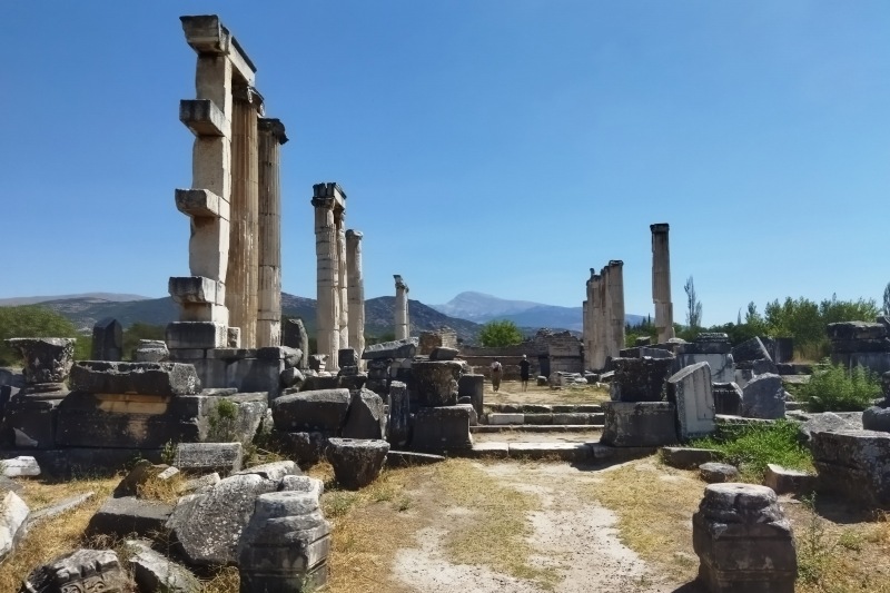 アフロディシアス