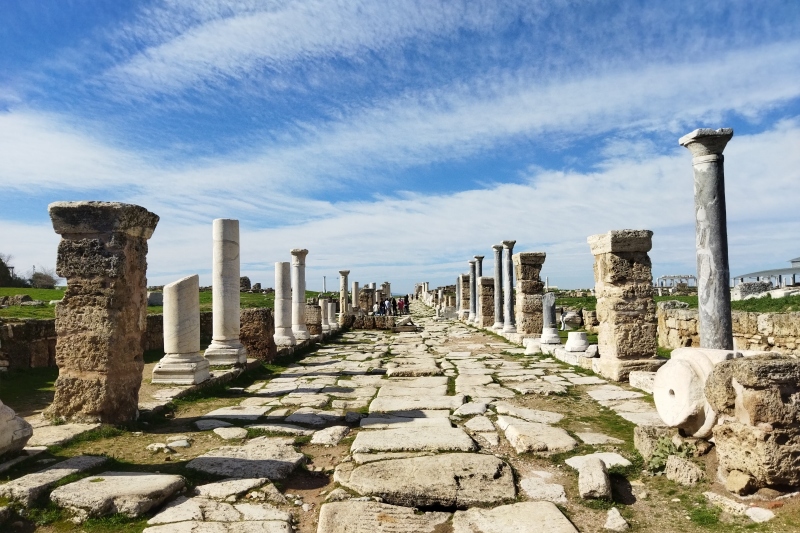 ラオディキア遺跡(シリア通り)